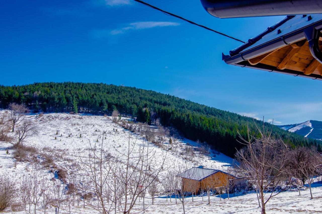 Villa Kedar Selo Berg Goč Exterior foto