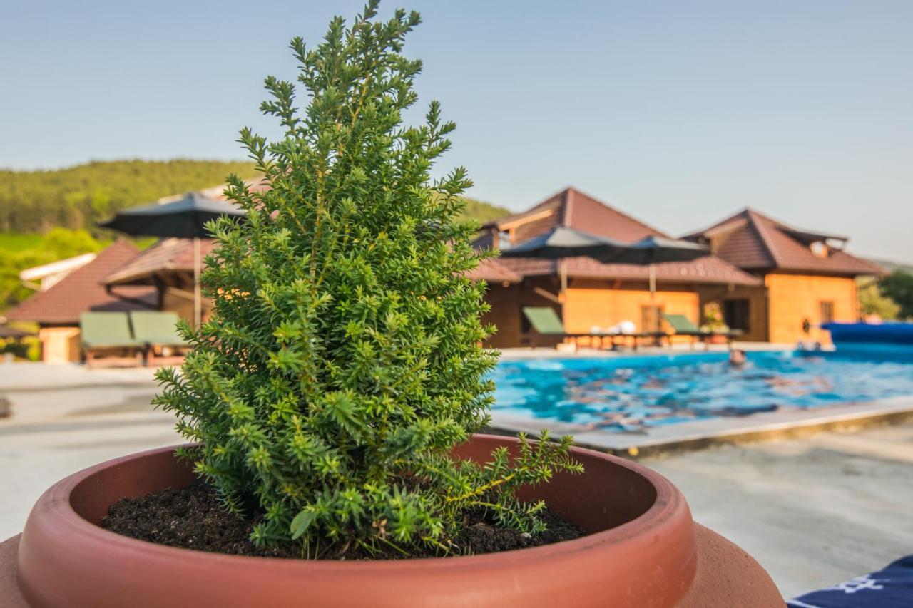 Villa Kedar Selo Berg Goč Exterior foto